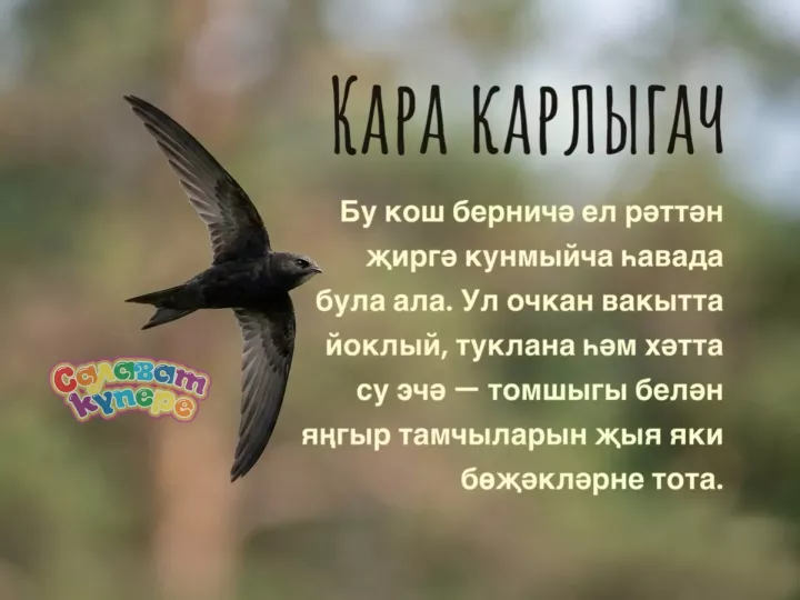 Син беләсеңме?